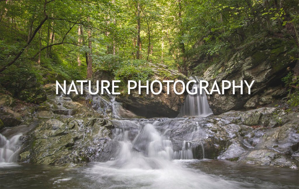 Photography class for nature images in Loudoun County